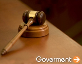 Government